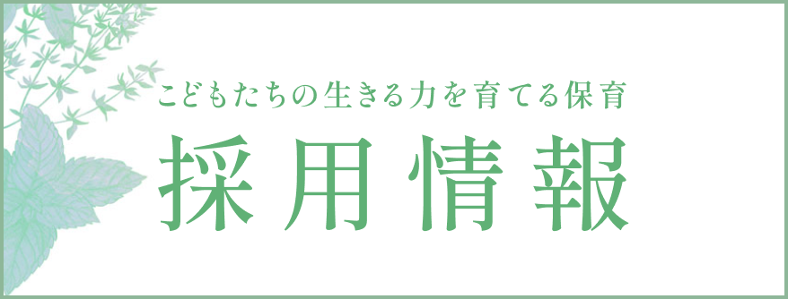 採用情報